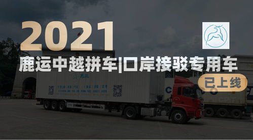 東盟國(guó)際物流公司哪家比較好