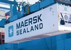 東莞國(guó)際物流漕幫 中國(guó)市場(chǎng)冷凍食品進(jìn)口爆炸式增長(zhǎng)下的國(guó)際物流機(jī)遇與挑戰(zhàn)